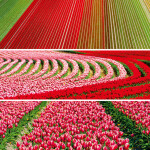 Nástěnný poznámkový kalendář 2026 NOTIQUE - Paleta, 30 x 30 cm - BEZ ČEŠTINY