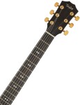 Taylor T5z Custom Koa Armrest