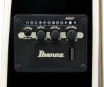 Ibanez TCY10PA-BKB