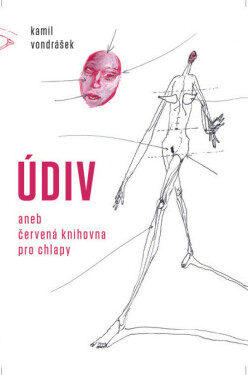 Údiv - Kamil Vondrášek