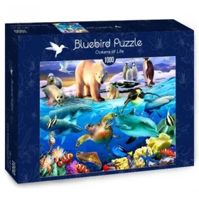BLUEBIRD Puzzle Oceán života