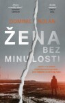 Žena bez minulosti - Dominic Nolan