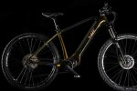 4EVER EXSTREAM ELITE pneu 29", rám 2023, jungle gold/mirron