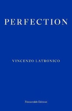 Perfection - Vincenzo Latronico