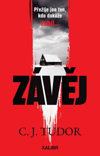 Závěj - C. J. Tudorová