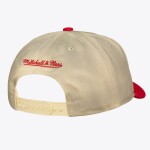 Mitchell & Ness Pánská kšiltovka Florida Panthers NHL Retro Roots Deadstock