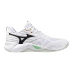 Mizuno Wave Momentum Pro V1GA254021