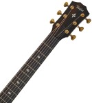 Taylor Builder’s Edition 314ce LTD