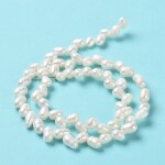 Přírodní sladkovodní perla - bílá - třída AAA - 7~8 x 5~6 mm - 1 ks