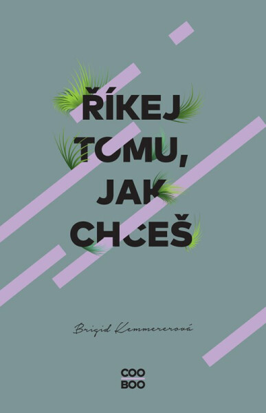 Říkej tomu, jak chceš (poškozené) - Brigid Kemmererová