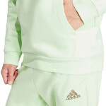 Pánská mikina adidas Essentials Fleece Hoodie Green IN0327 pánské