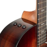 Taylor 224ce-K DLX C-Class Bracing