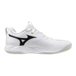 Mizuno Wave Momentum Pro V1GA254021