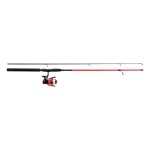 Mitchell Prut Catch Pro Spin Combo 2,4m 10-30g