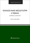 Dohled nad nezletilými v právu - David Holubec