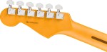 Fender American Professional Stratocaster HSS RW DK NIT