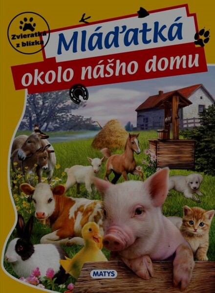 Mláďatká okolo nášho domu