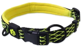 Active Dog Mystic L limetková / Obojek pro psy / šířka 2,5 cm / obvod 53-64 cm (0904-91564)