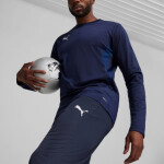 Puma Team Goal Training M kalhoty 658639 06 L