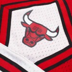 Mitchell & Ness Pánské kraťasy Chicago Bulls NBA 1997-98 Swingman Shorts - Červená Velikost: M