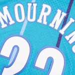 Mitchell & Ness Pánský dres Charlotte Hornets NBA Alonzo Mourning #33 1992-93 Swingman Velikost: L