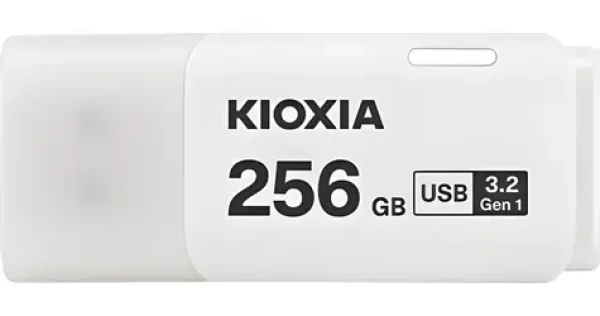Hayabusa U301 256GB bílá / Flash disk / USB-A / USB 3.2 Gen 1 (LU301W256GG4)