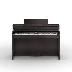 Roland HP704-DR
