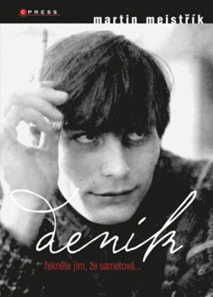 Deník (poškozená) - Martin Mejstřík