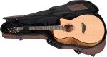 Furch Blue Plus Gc-CM CNR Active 2026