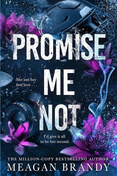 Promise Me Not Meagan Brandy