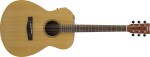 Yamaha FSX400 Natural