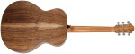 Furch Blue Plus G-SW CNR Active 2026