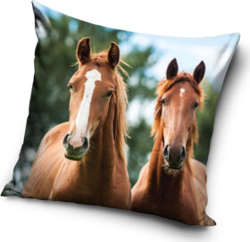 Dekorační polštářek Koně Hnědáci