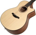 Furch Blue Plus Gc-SW CNR Active 2026