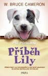 Příběh Lily - Bruce Cameron - e-kniha