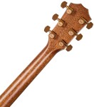 Taylor 814ce Special Edition Cedar Sedona
