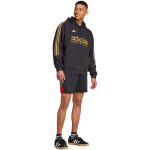 Adidas House of Tiro Nations Pack Hoodie IW8869 pánské