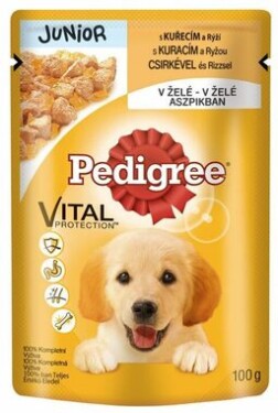 Pedigree Junior kuřecí