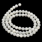 Shell perla - bílá - ∅ 6 mm - 1 ks