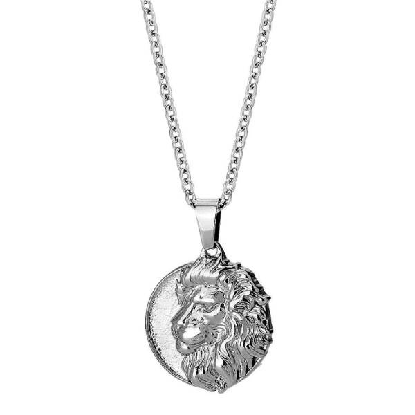 Pánský ocelový náhrdelník Lion - přívěsek s motivem lva, Stříbrná 60 cm