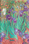 2025 DP 12 Van Gogh’s Irises