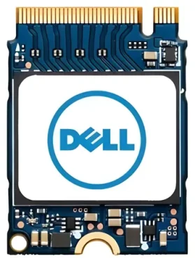 DELL SSD 256GB / SSD / M.2 / PCI Express (SNP112233P/256G)