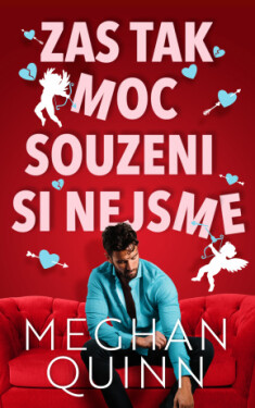 Zas tak moc souzeni si nejsme - Meghan Quinn - e-kniha