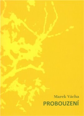 Probouzení
