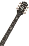 Epiphone Jerry Cantrell Prophecy Les Paul Custom