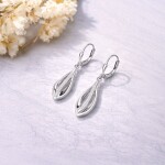 Stříbrné visací náušnice se zirkony Louise - stříbro 925/1000, Stříbrná