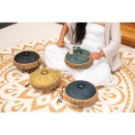 Meinl Sonic Energy 10" Octave Steel Tongue Drum F# Minor