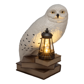 Harry Potter LunaGlo solární světlo Hedvika - Paladone