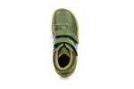 Lurchi Spot Olive