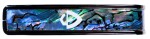 Thalia Guild Blue Abalone Shield Black Chrome